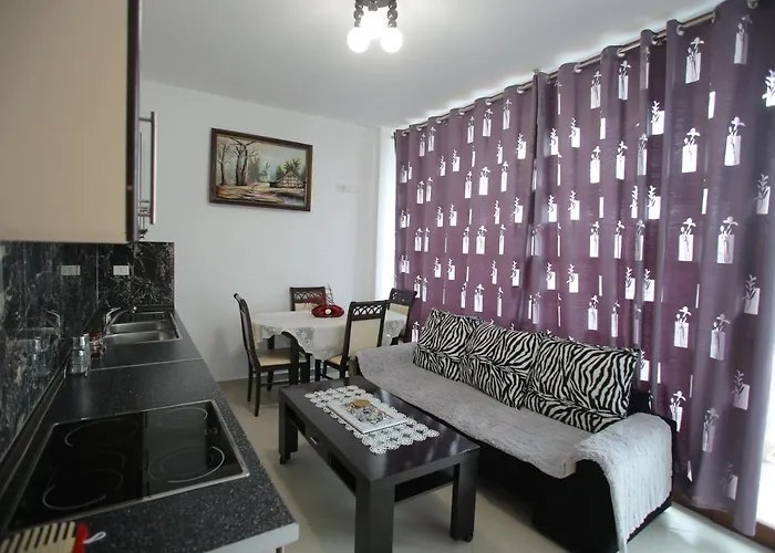 Apartament Dori Ani *