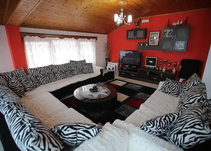 Apartament Dori Ani *