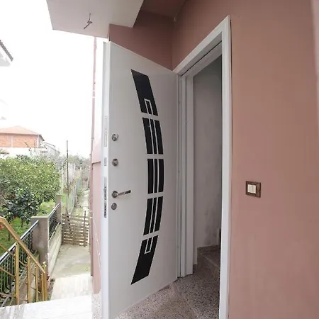 Dori Ani * 地拉那